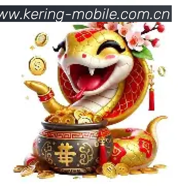 未来规划